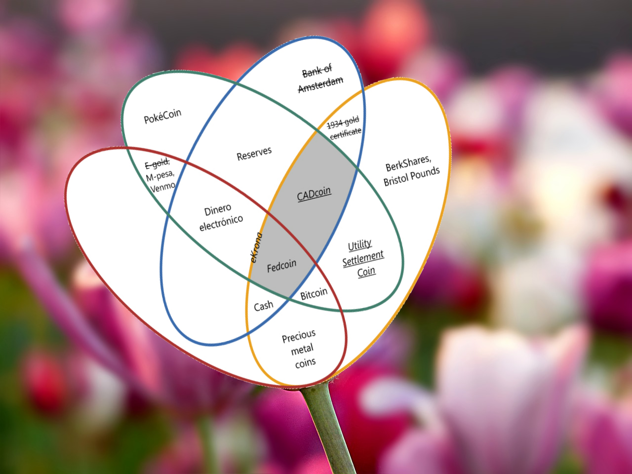 BIS money vs currency flower