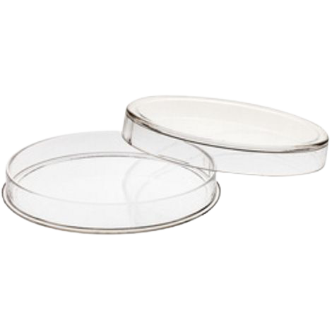 Individual Coin Capsules-image