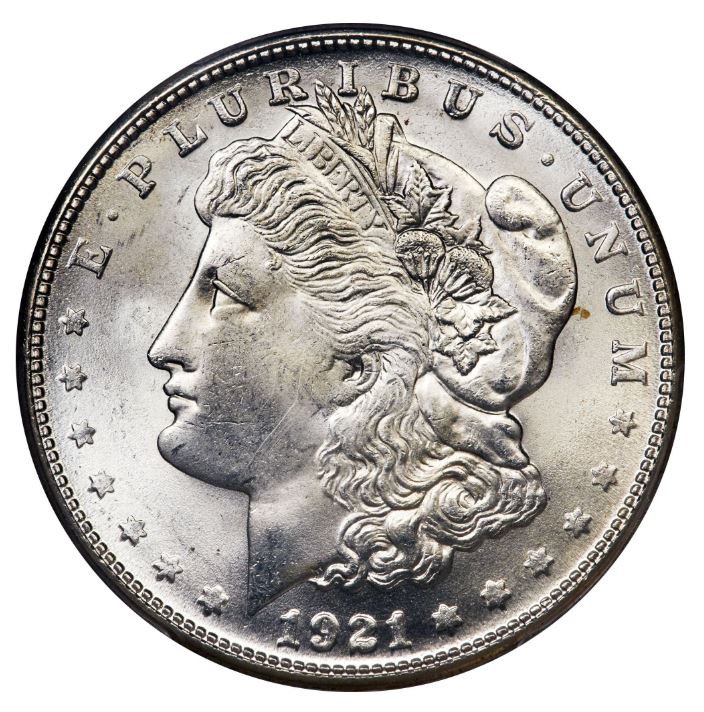 Morgan Silver Dollars-image