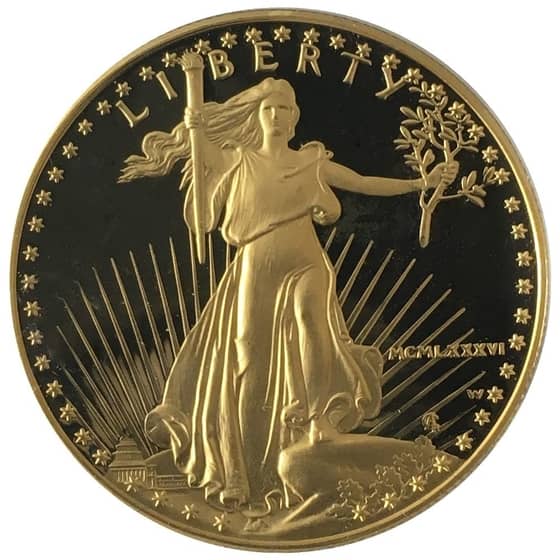 American Gold Eagle Proof Coins-image