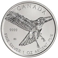 2015 1 oz Silver Red-Tailed Hawk - RCM Birds of Prey Series