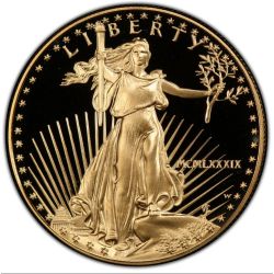 1989 1 oz American Gold Eagle Proof Coin