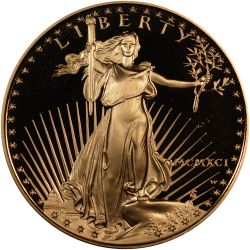1991 1 oz American Gold Eagle Proof Coin