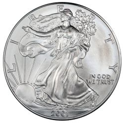 2001 American Silver Eagle Coin