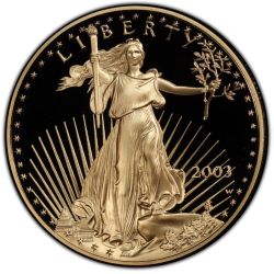2003 1 oz American Gold Eagle Proof Coin