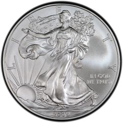 2009 American Silver Eagle Coin