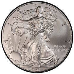 2010 American Silver Eagle Coin