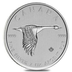 2020 2 oz Canadian Goose Silver Coin
