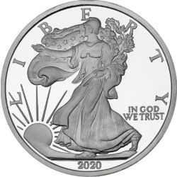 2020 5 oz American Silver Eagle Replica Round