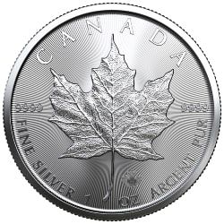 Buy 2022 Canadian Silver Maple Leafs - Lowest Price Online