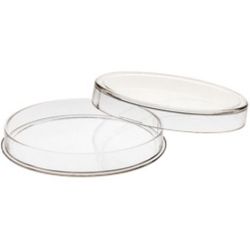 Y65 Air-Tite Case - 5 oz Silver Coins or Rounds