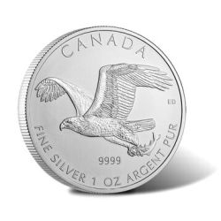 2014 1 oz Silver Canadian Bald Eagle - RCM Birds of Prey Series