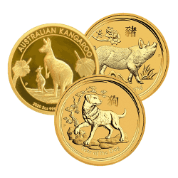 2 oz Gold Coins - Random Design