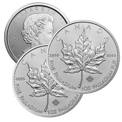 1 oz Canadian Palladium Maple Leaf Coin - Random Year