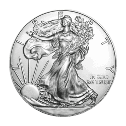 1 oz American Silver Eagle Coin - Random Year