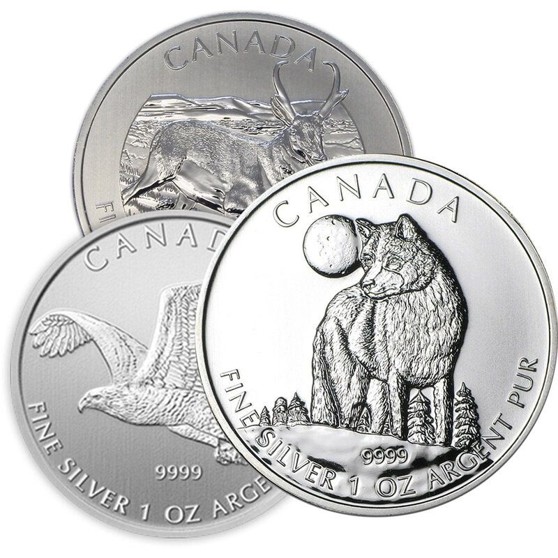 1\u0020oz\u0020Royal\u0020Canadian\u0020Mint\u0020Silver\u0020Coins\u0020\u002D\u0020Random\u0020Design