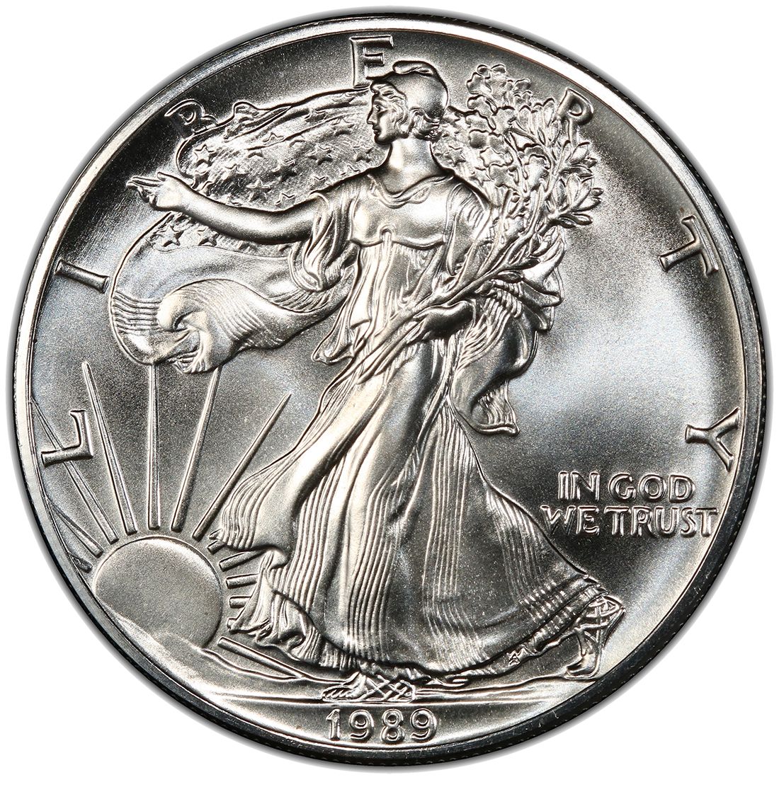 1989\u0020American\u0020Silver\u0020Eagle\u0020Coin