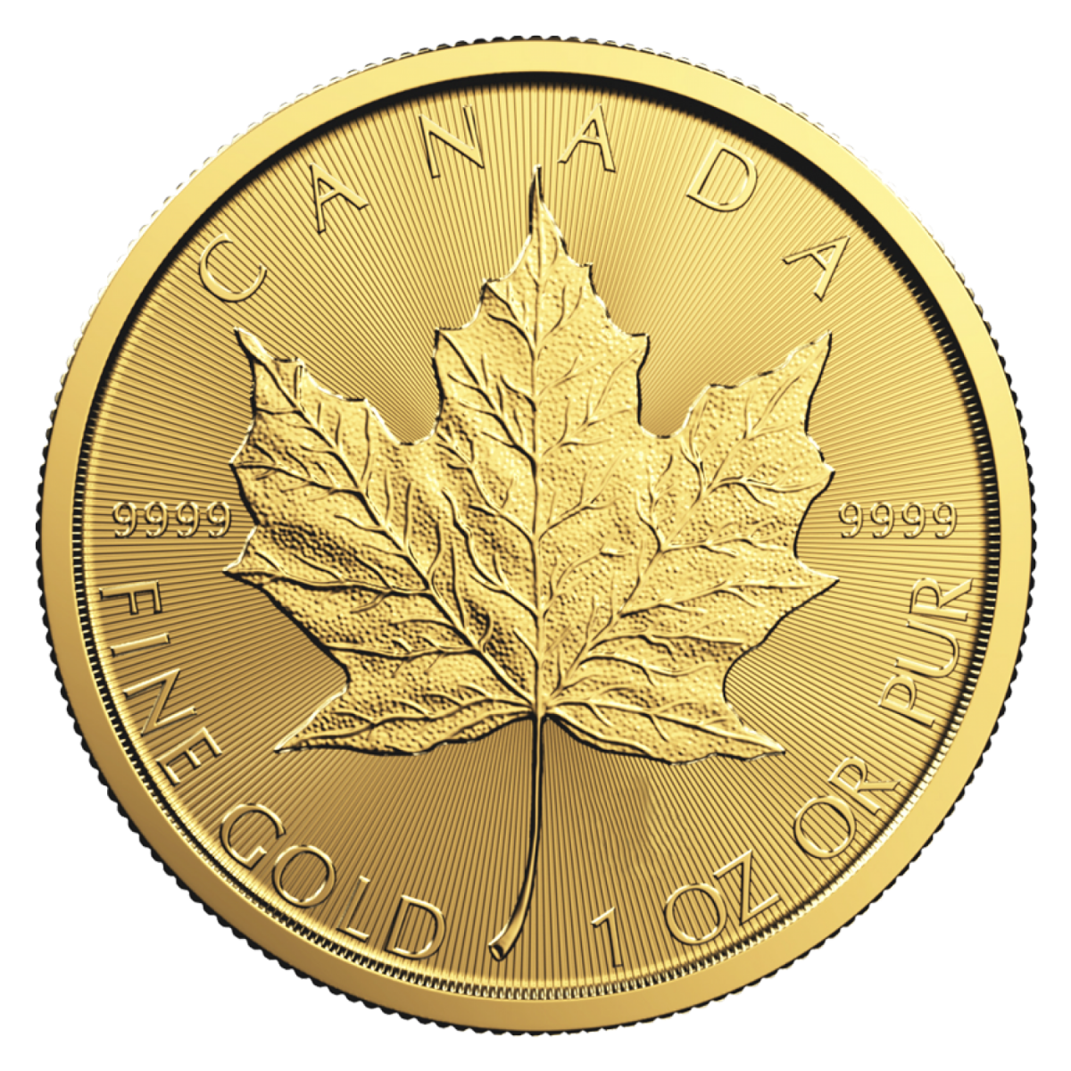 1\u0020oz\u0020Canadian\u0020Gold\u0020Maple\u0020Leaf\u0020Coin\u0020\u002D\u0020Random\u0020Year