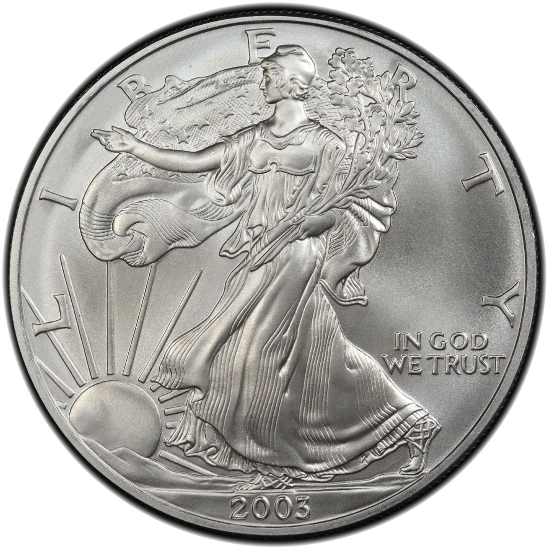 2003\u0020American\u0020Silver\u0020Eagle\u0020Coin