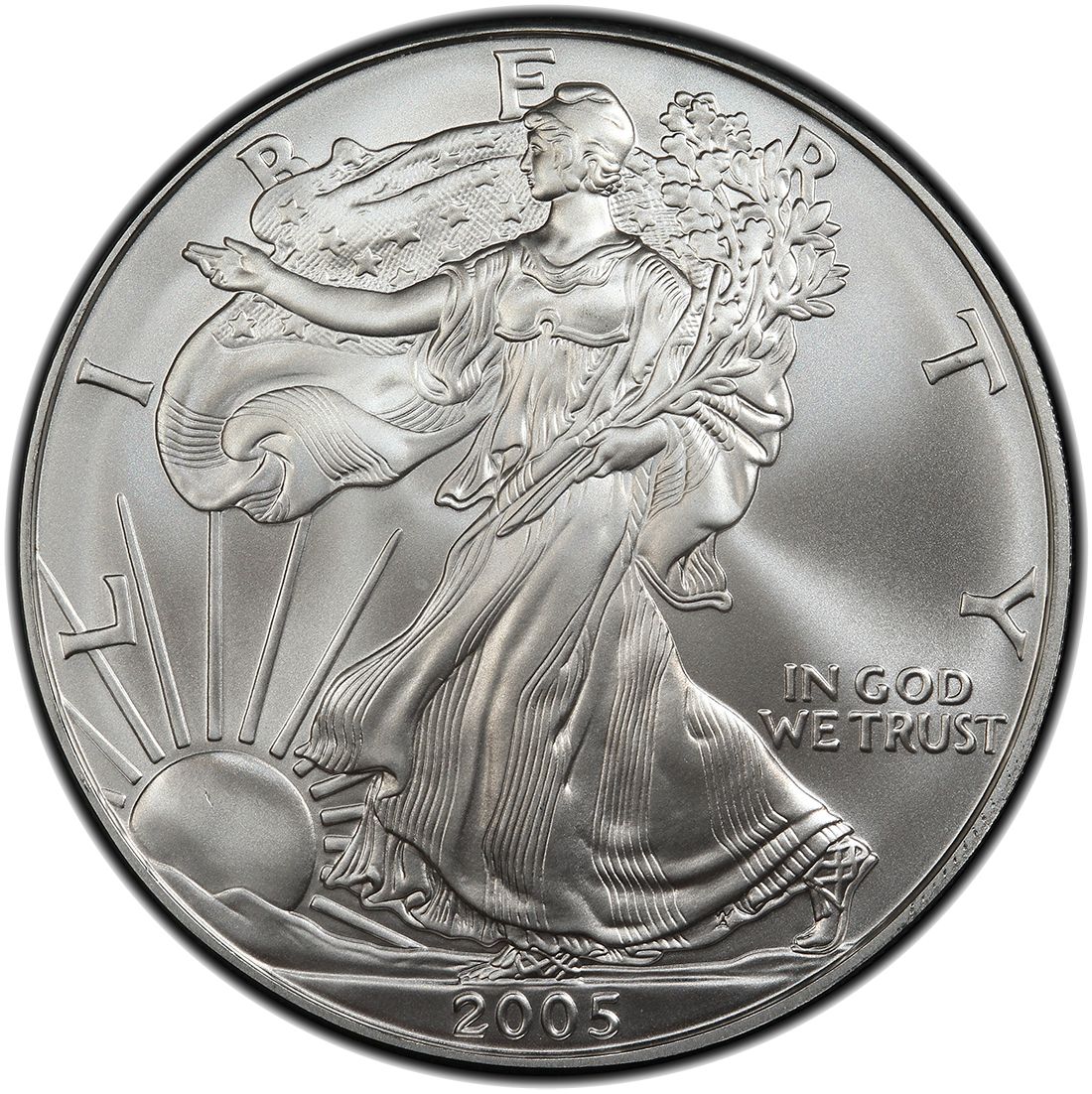 2005\u0020American\u0020Silver\u0020Eagle\u0020Coin