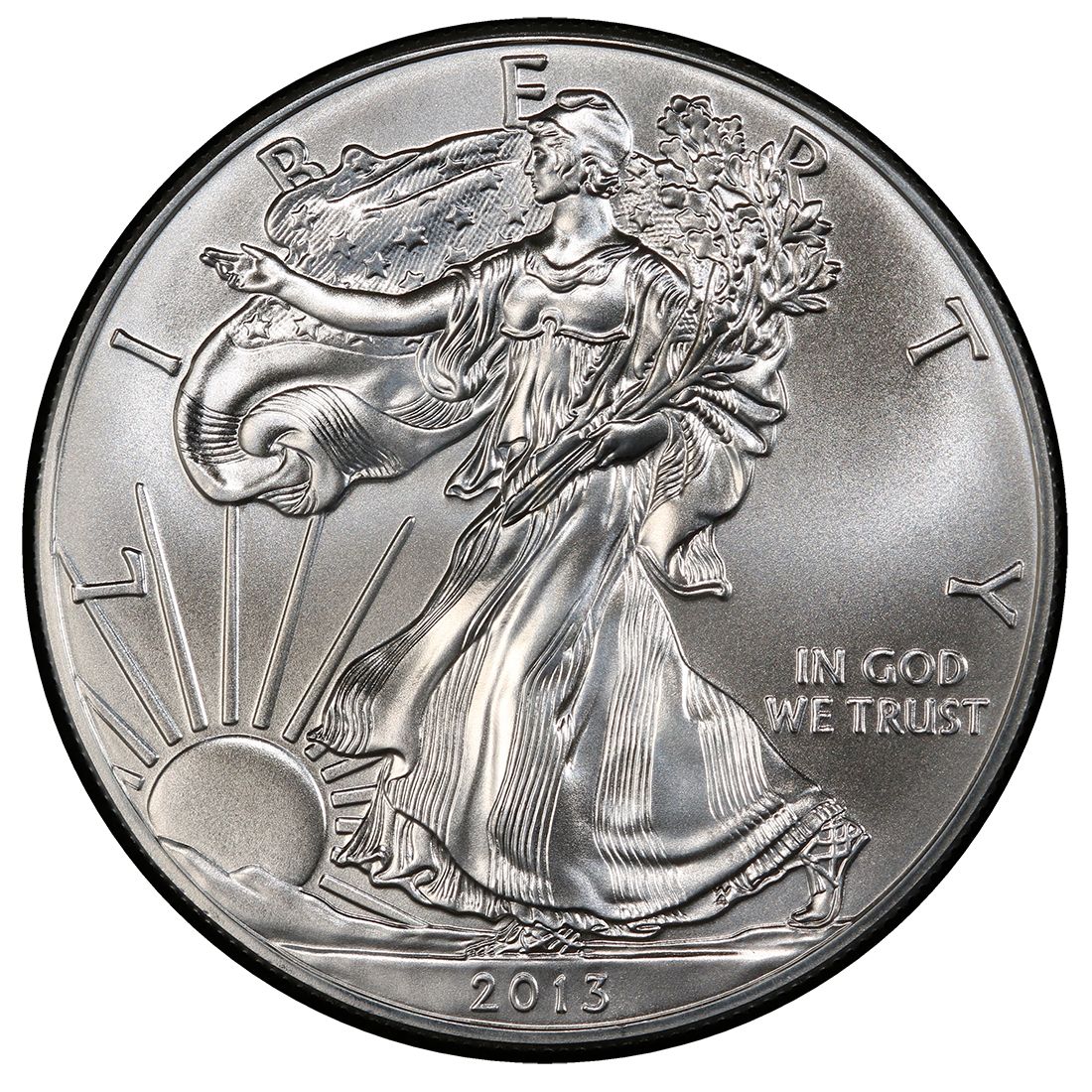 2013\u0020American\u0020Silver\u0020Eagle\u0020Coin