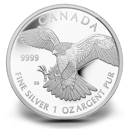 2014\u00201\u0020oz\u0020Silver\u0020Peregrine\u0020Falcon\u0020\u002D\u0020RCM\u0020Birds\u0020of\u0020Prey\u0020Series