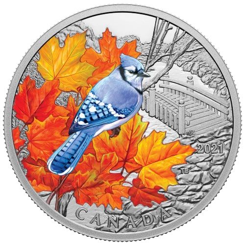 2021\u00201\u0020oz\u0020Canadian\u0020Blue\u0020Jay\u0020Proof\u0020Silver\u0020Coin
