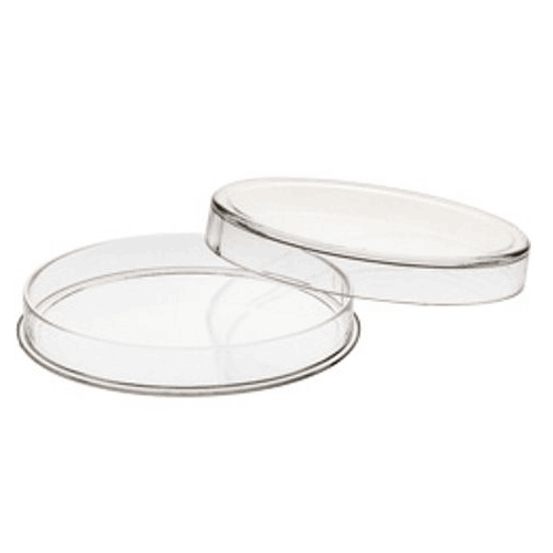 22\u0020mm\u0020Air\u002DTite\u0020Case\u0020\u002D\u00201\u002F4\u0020oz\u0020Gold\u0020Eagle\u0020Coin