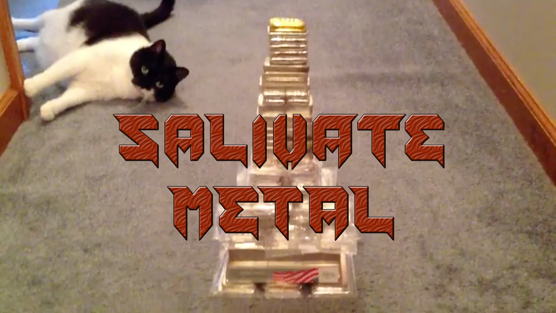 SalivateMetal Youtube Channel Interview