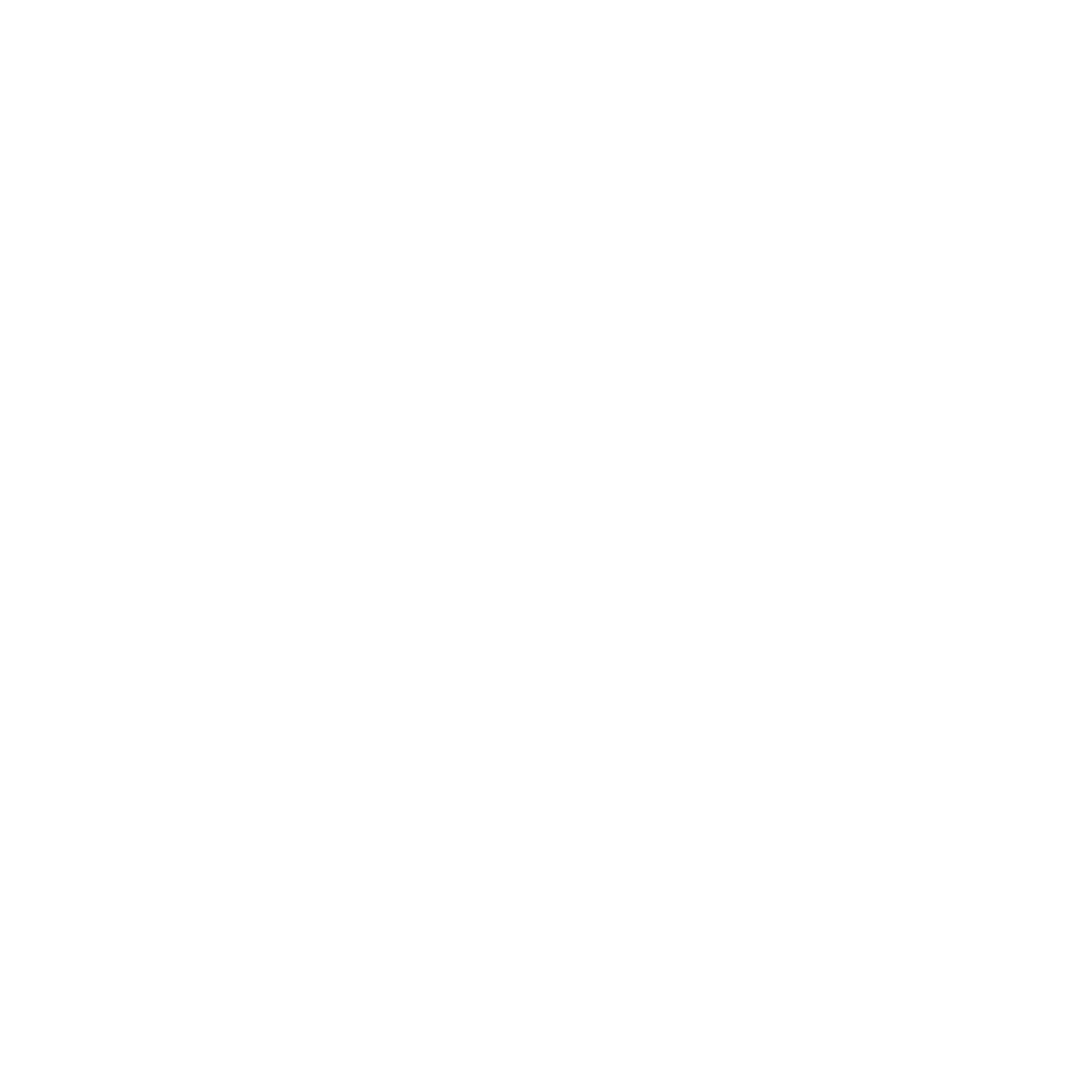 YouTube Icon